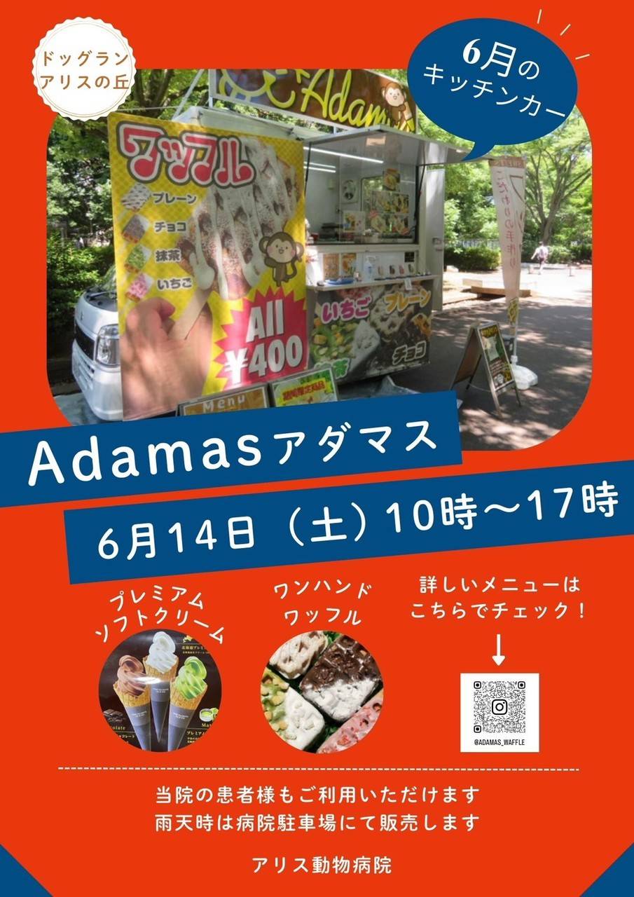 6月のキッチンカー